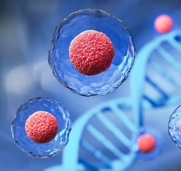 Laboratory form of stem cells