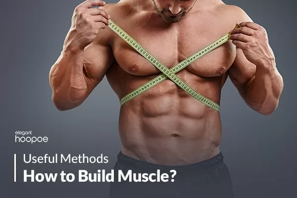 How to Build Muscle?