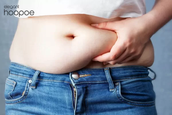 What causes lower belly fat?