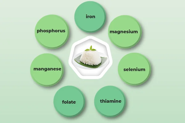 Nutritional Composition of Rice