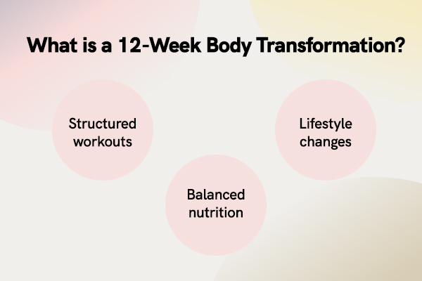 What is 12 Week Body Transformation Dubai ?