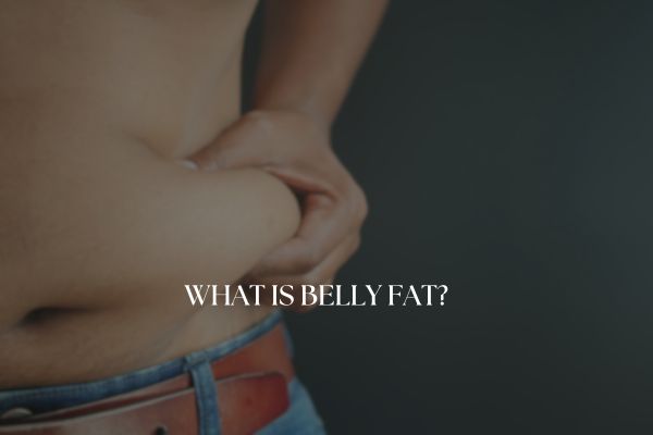 What is belly fat