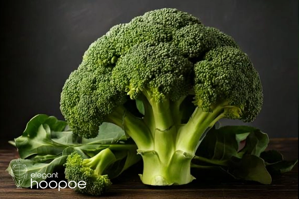 Delicious broccoli recipes for weight loss