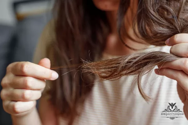 Sun, Sand, and Shine: How to Protect Your Hair in Dubai’s Extreme Heat