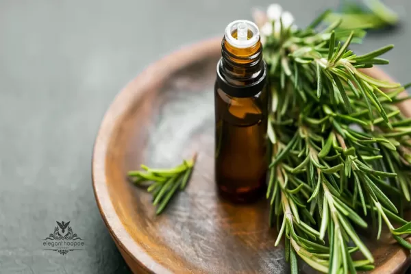 Rosemary for Hair Growth: A Natural Remedy Your Scalp Will Love