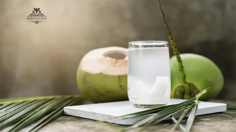 From Hydration to Detox: Why Coconut Water Is a Must ...