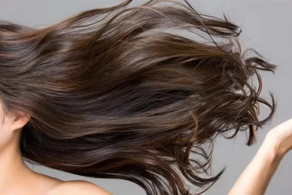 The Best Plants for Hair Growth: Top Natural Remedies for Thicker, Healthier Hair