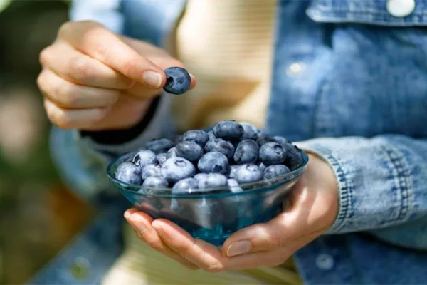 From Antioxidants to Heart Health: Why Blueberries Should Be in Your Diet