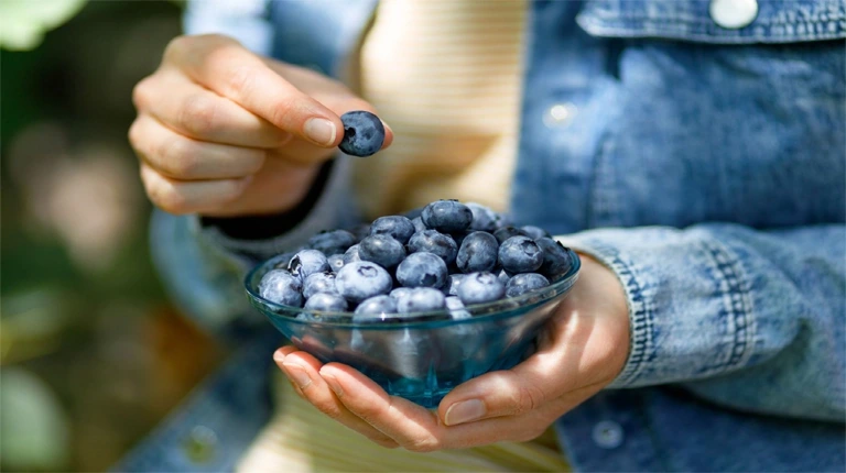 From Antioxidants to Heart Health: Why Blueberries Should Be in ...