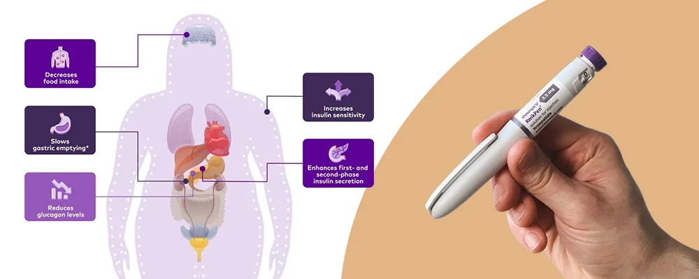 Hand holding a Mounjaro injection pen with an illustration of its effects on the human body.