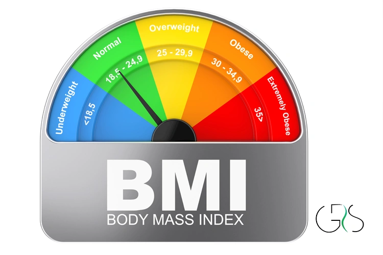 Colorful BMI dial from under-weight to extreme obesity