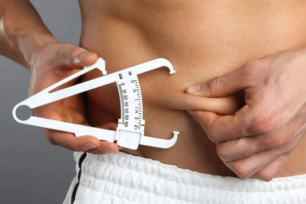 BMI and Body Fat Calculator: Which Tells More About Your Health?