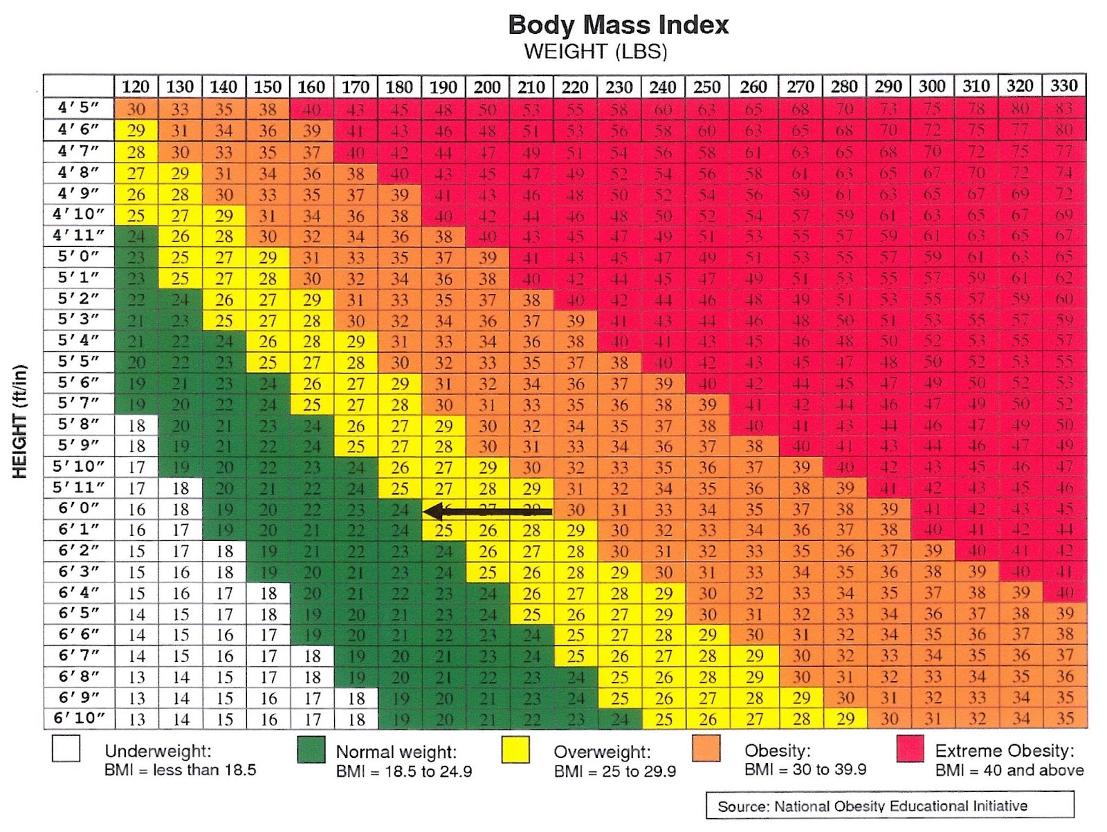 BMI chart illustrating healthy weight ranges for seniors aged 65 and older