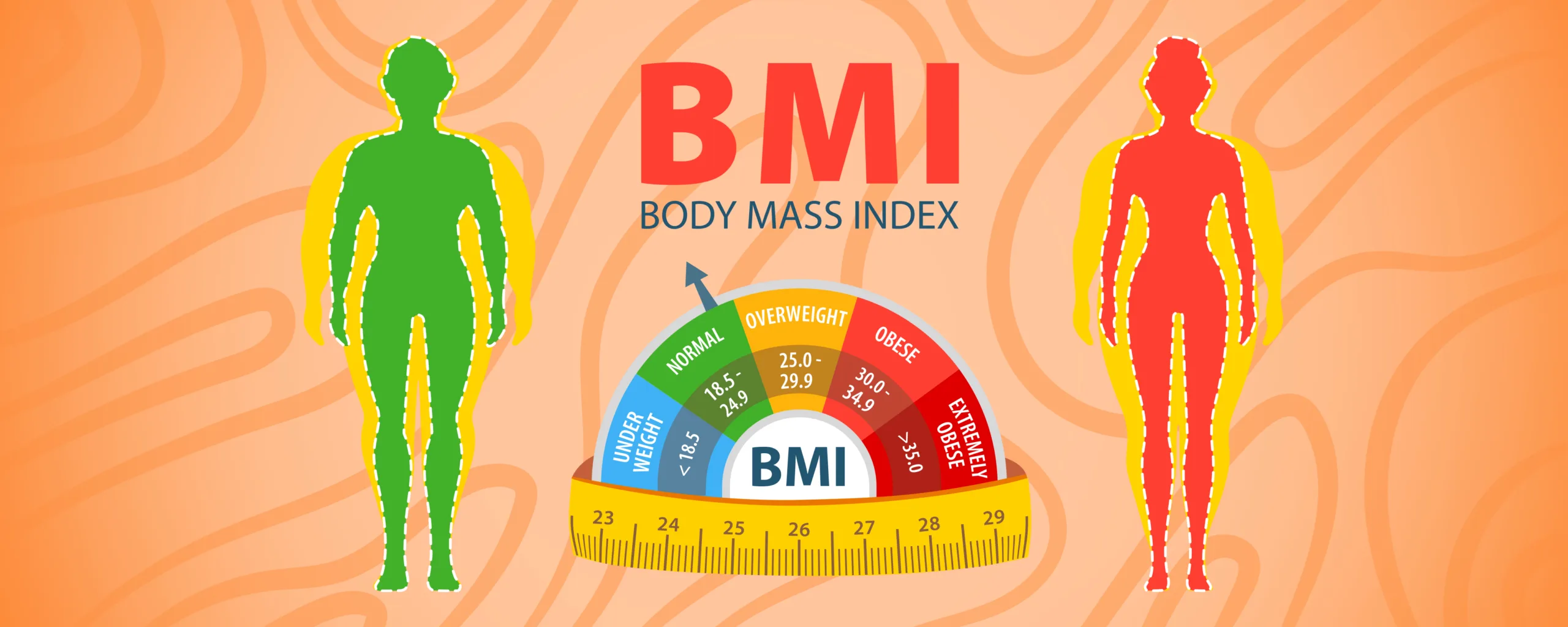 Illustration of Body Mass Index (BMI) categories with green and red human silhouettes beside a colorful BMI scale.