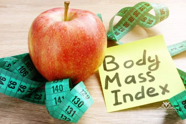Body Index Calculator Explained: Tracking Health Beyond BMI