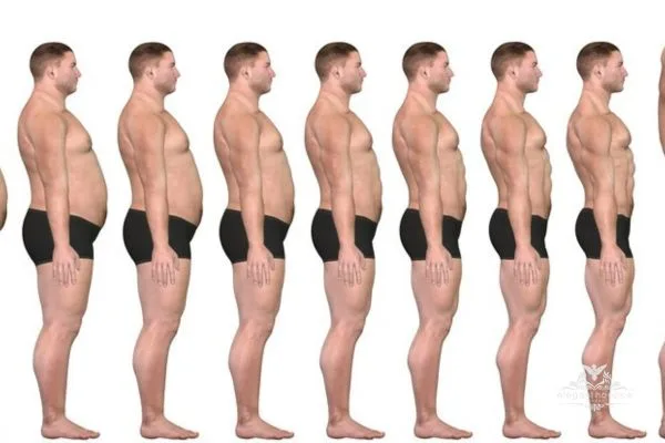 Side-by-side profile showing a man’s body transformation from higher fat to greater muscle mass to illustrate fat-to-muscle ratio improvement