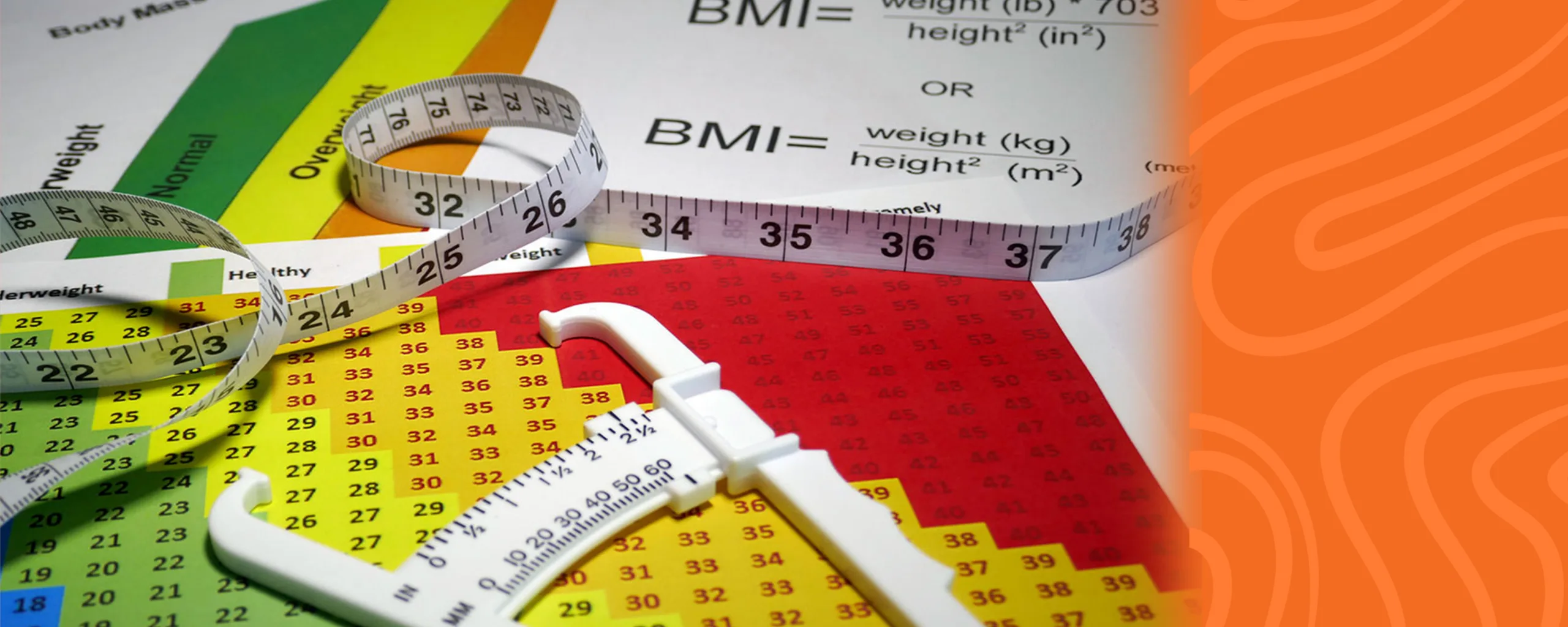 Digital body composition scale displaying fat mass, lean muscle percentage, hydration level, and bone density readings