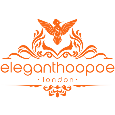 elegant hoopoe